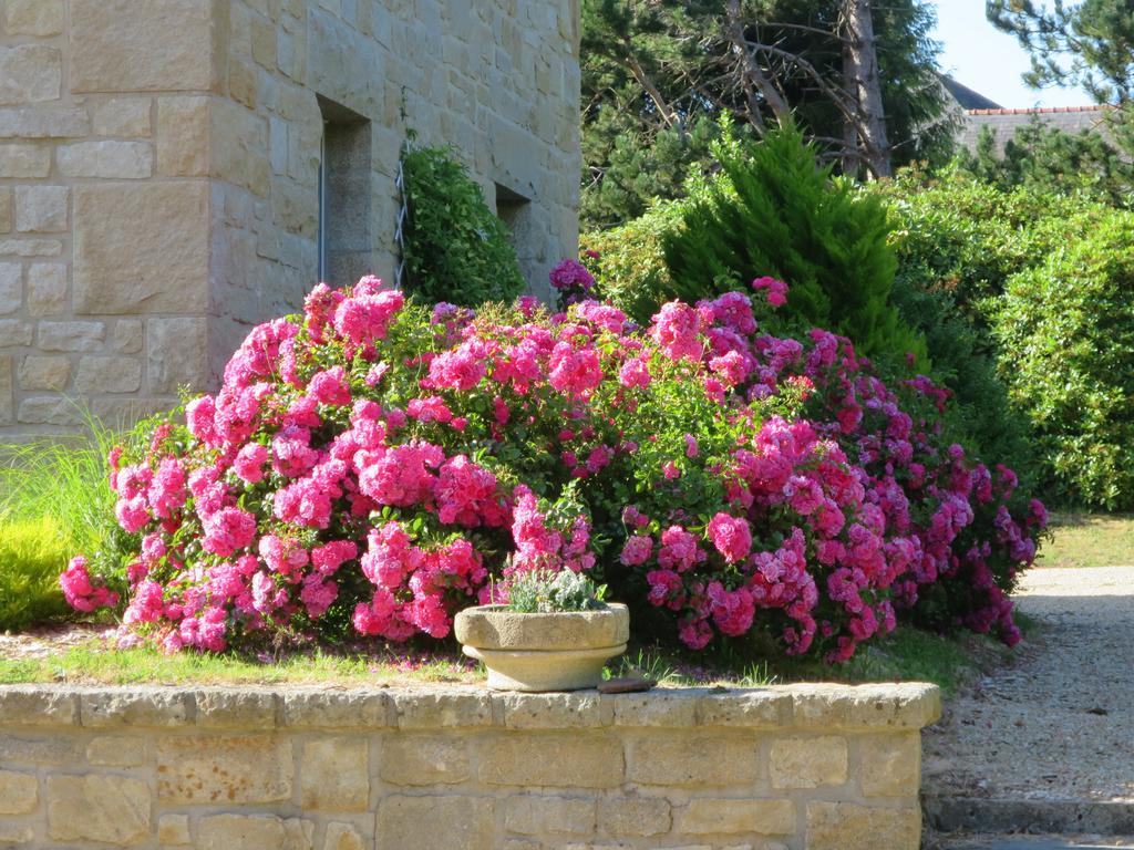 Kerblondel Bed and Breakfast Plouézocʼh Εξωτερικό φωτογραφία